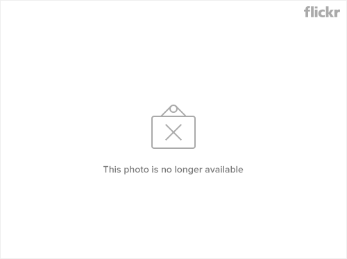 flickr:4816221018