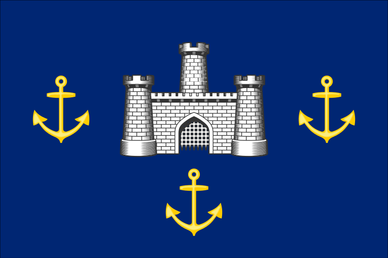 File:Isle of Wight Council Flag.svg