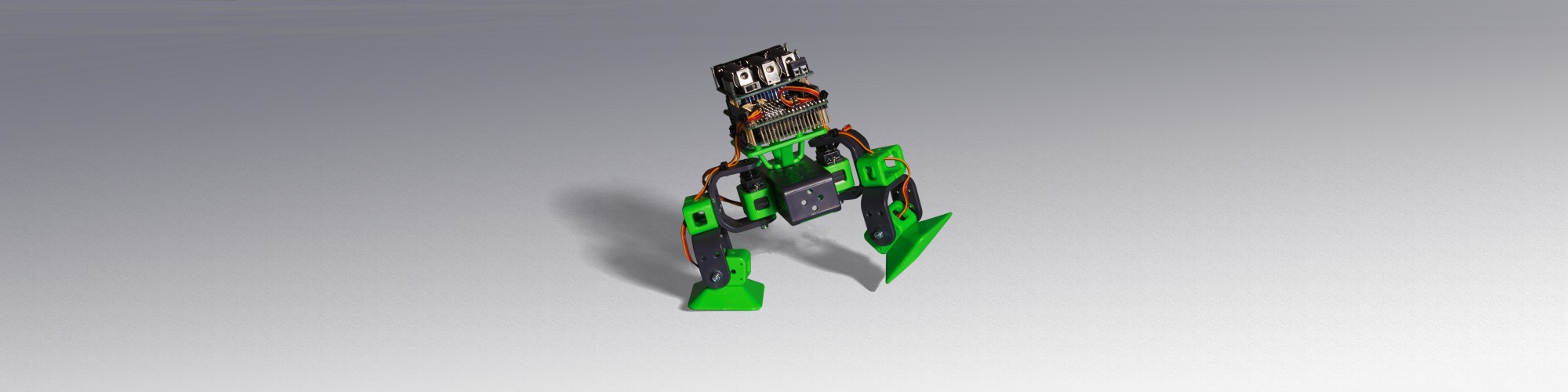 Two legged ALLBOT