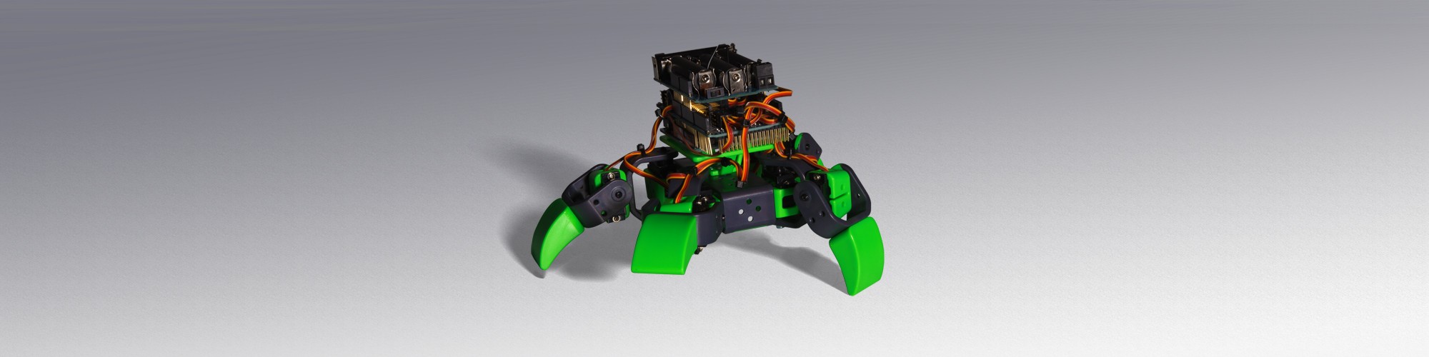 Four legged ALLBOT
