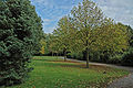 Bergkamen Hauptfriedhof.jpg