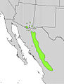 Arbutus arizonica range map.jpg