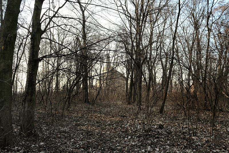 File:!-2014-stare-drzewce-park-abri.jpg