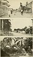 Barbados-Antigua expedition; narrative and preliminary report of a zoological expedition from theUniversity of Iowa to the Lesser Antilles under the auspices of the Graduate College (1919) (14585939198).jpg