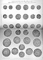 Current coins of West Europe XIIIth-XVIth Centuries.jpg