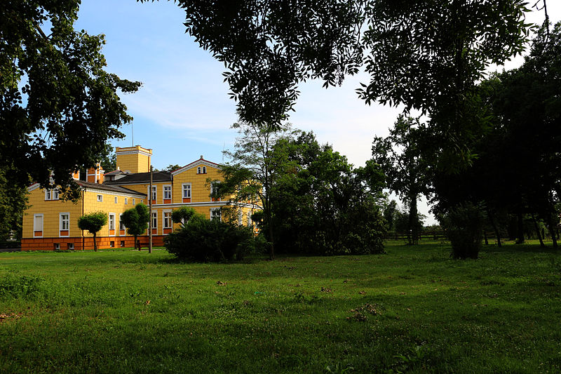 File:!-201308-debowa-leka-palac-park-abri.jpg