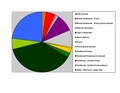 Morrison Co Chart 2016 Wiki Version.pdf