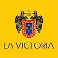 Bandera de la victoria.jpg