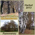 Alter Eichendamm an der Waldscheibe in Rammenau.jpg