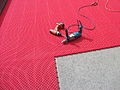 $22,000 Basketball Court Tiles, 2010 10 03 -b.jpg