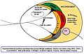 Jung-theory.JPG