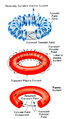 Tokamak fields lg.png