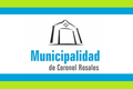 Bandera coronel rosales.png
