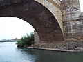 Puente de Piedra detalle.JPG