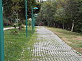 Paseo de la ribera del Ebro.JPG