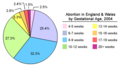 UKAbortionbyGestationalAgeChart2004.png