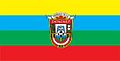Bandera Catacaos.jpg