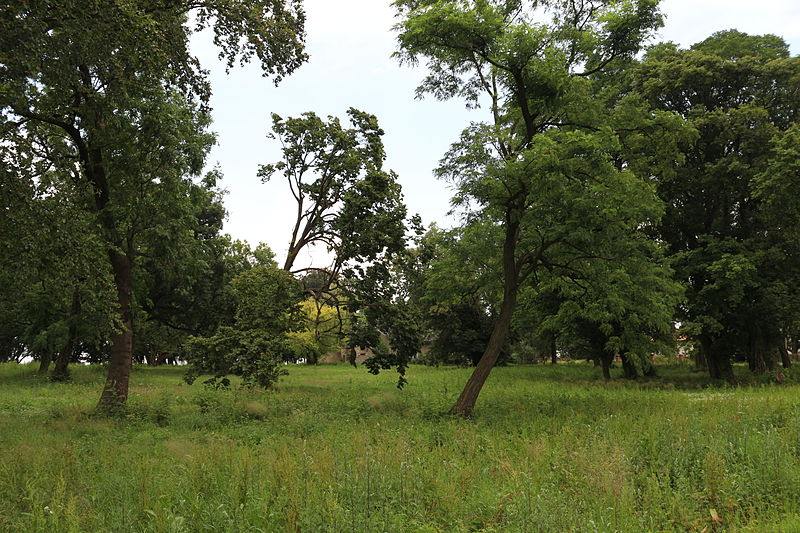 File:!-2014-abri-osowa-sien-dworek-park.JPG