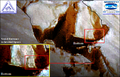 Noah's Ark Starboard Stern Access 01.png