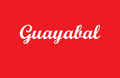 Bandera de guayabal.png