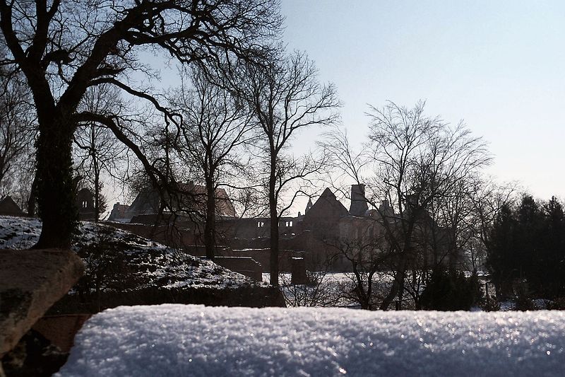 File:!-20110225-carolath-siedlisko-zamek-abri.jpg