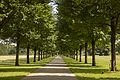 Lines and shadows- Pontcanna Fields, Cardiff (28798307836).jpg