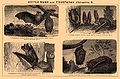 Brockhaus and Efron Encyclopedic Dictionary b34 610-2.jpg