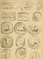 Archives des missions scientifiques et littéraires (1871) (19727744986).jpg