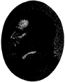 Anckarström, Jakob Johan, Nordisk familjebok.png