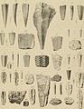 Die Versteinerungen des rheinischen Schichtensystems in Nassau. Mit einer kurzgefassten Geognosie dieses Gebietes und mit steter Berücksichtigung analoger Schichten anderer Lander (1850) (14783839942).jpg