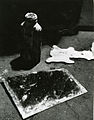 Paolo Monti - Serie fotografica - BEIC 6346781.jpg