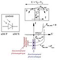 Photodiode - fonctionnement.jpg