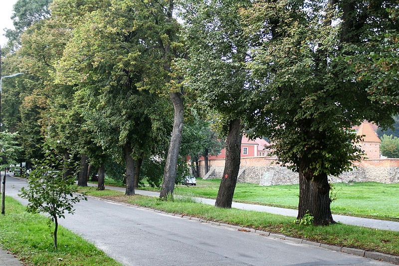 File:!-20140924-wschowa-ul-lipowa-abri.jpg