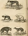 A London encyclopaedia, or universal dictionary of science, art, literature and practical mechanics - comprising a popular view of the present state of knowledge - illustrated by numerous engravings, (14595432327).jpg