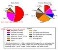 CW BB pie chart encoding script.png