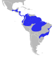 Manacus distribution.svg