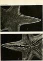 Bulletin - United States National Museum (1911) (14783993425).jpg