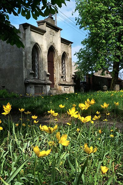File:!-2011-wschowa-lapidarium-steiner-abri--tulipa-sylvestris.jpg