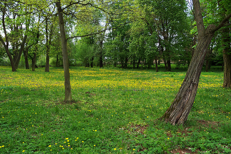 File:!-2010-lgin-palac-park-abri.jpg