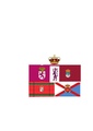 Bandera Autonomía León.pdf