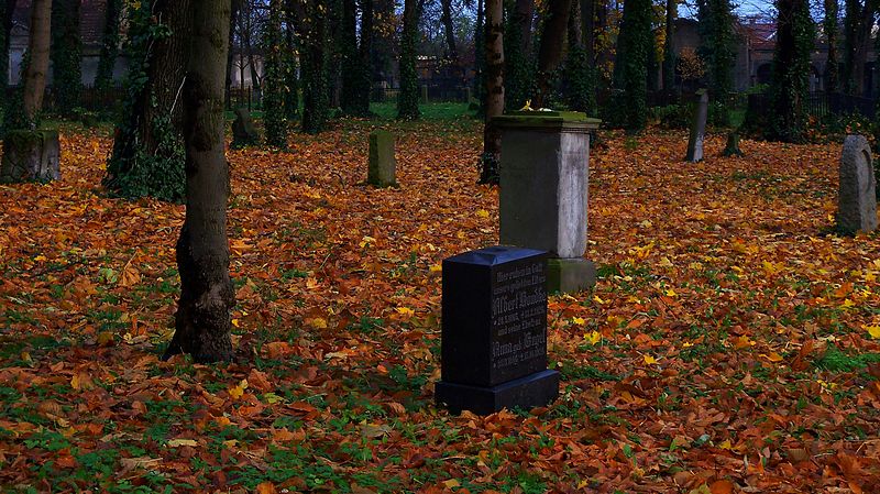 File:!-2010-wschowa-lapidarium-abri.jpg
