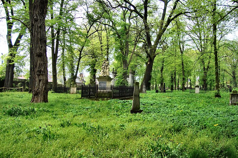 File:!-2009-wschowa-lapidarium-general-view-abri.jpg