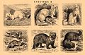 Brockhaus and Efron Encyclopedic Dictionary b33 030-2.jpg