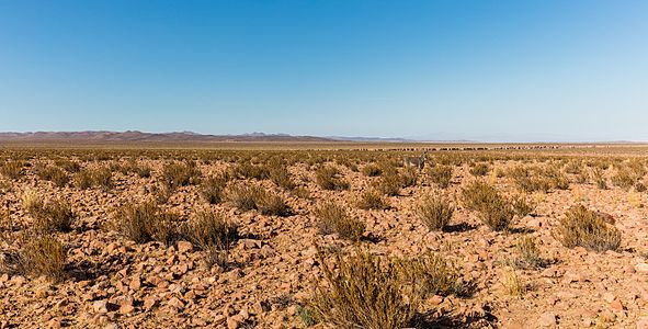 Landscape near Calama, Chile