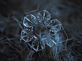 Snowflake macro- the core (10823897423).jpg