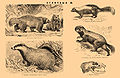 Brockhaus and Efron Encyclopedic Dictionary b33 030-3.jpg