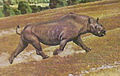 Aphelops restoration.jpg