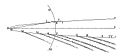 Newton Comet1680.jpg