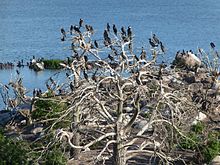 Views from the Stockholm Helsinki ferry in Sweden 28.jpg