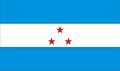 Bandeira de Rio Casca.jpg
